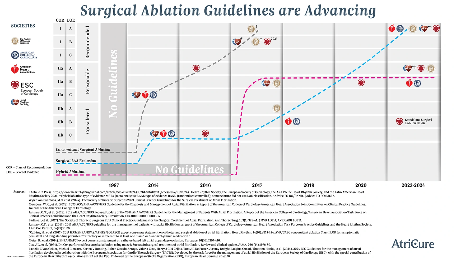 Surgical Ablation Society Guidelines