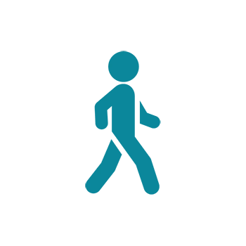 Web_Transitional_Dynamic_Pain_Scores_Walking_Icon