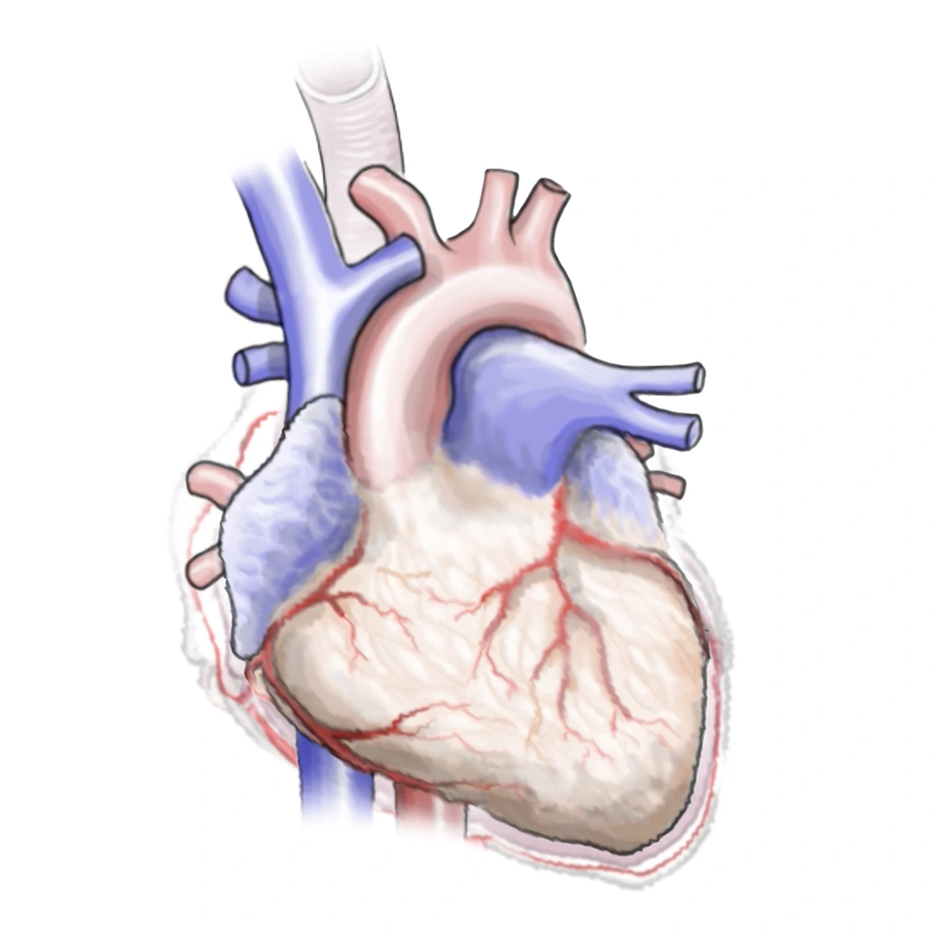Heart Graphic (JPG)